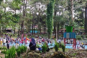 Obyek Wisata Woodland